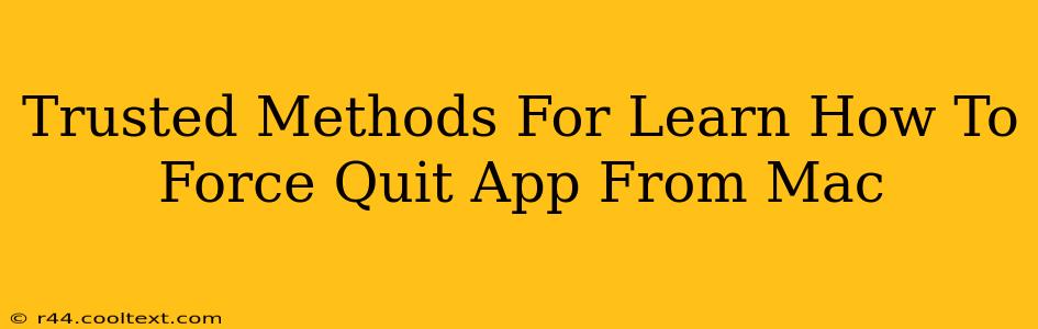 Trusted Methods For Learn How To Force Quit App From Mac