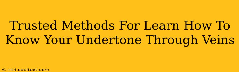 Trusted Methods For Learn How To Know Your Undertone Through Veins