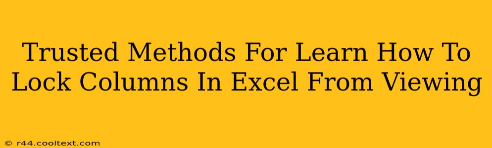 Trusted Methods For Learn How To Lock Columns In Excel From Viewing