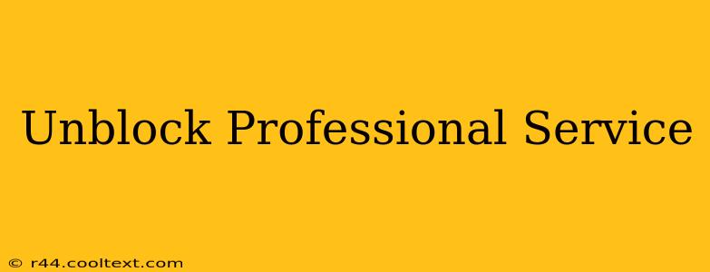 Unblock Professional Service