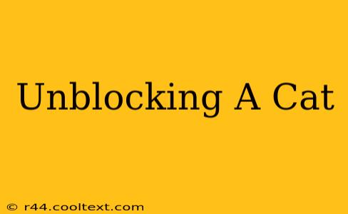 Unblocking A Cat