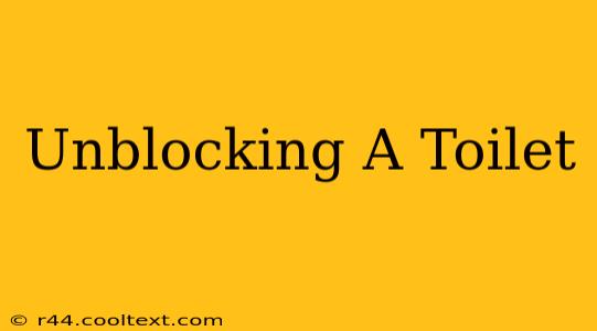 Unblocking A Toilet