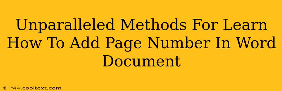 Unparalleled Methods For Learn How To Add Page Number In Word Document