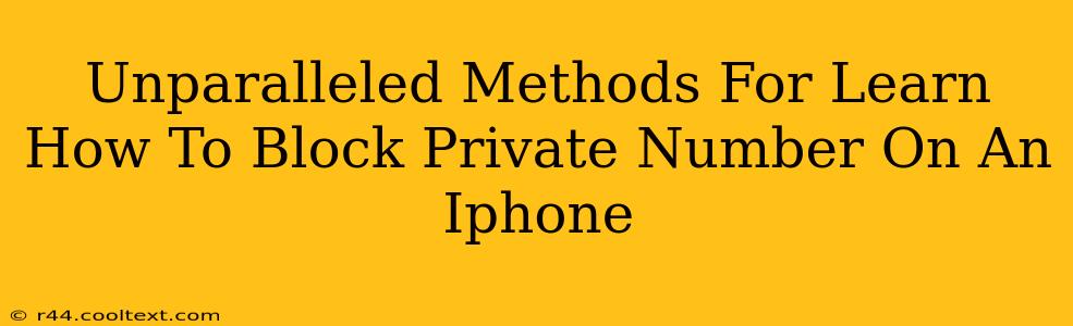 Unparalleled Methods For Learn How To Block Private Number On An Iphone