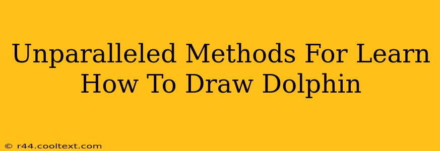 Unparalleled Methods For Learn How To Draw Dolphin