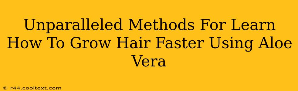 Unparalleled Methods For Learn How To Grow Hair Faster Using Aloe Vera