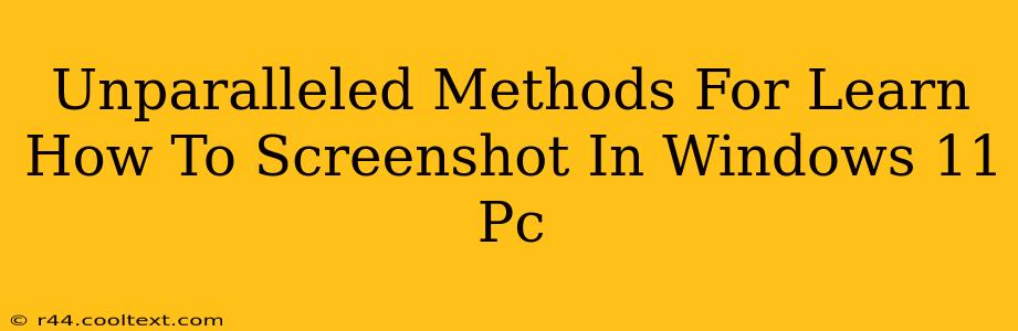 Unparalleled Methods For Learn How To Screenshot In Windows 11 Pc