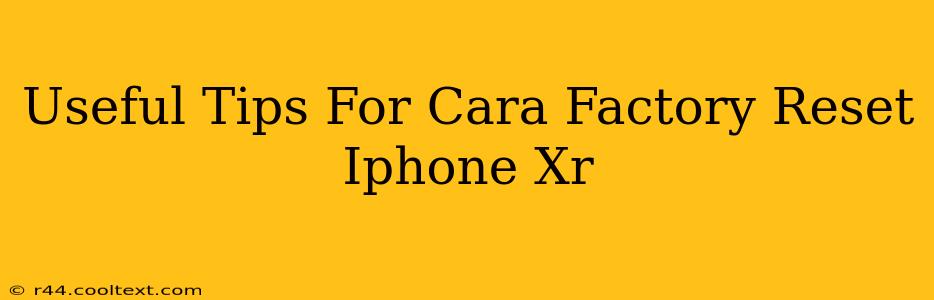 Useful Tips For Cara Factory Reset Iphone Xr