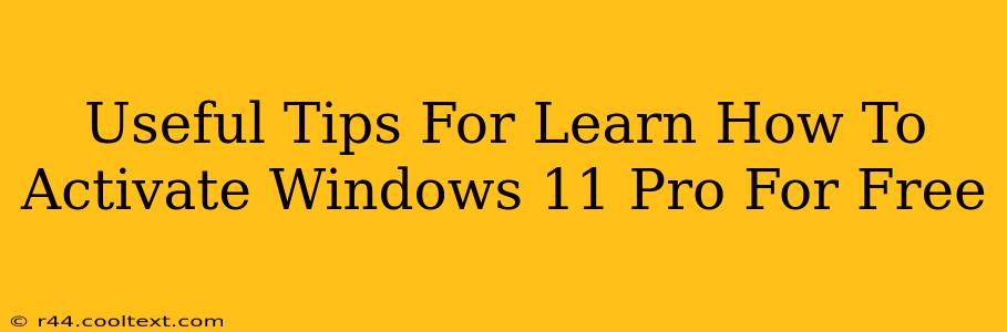 Useful Tips For Learn How To Activate Windows 11 Pro For Free