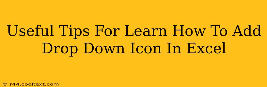 Useful Tips For Learn How To Add Drop Down Icon In Excel