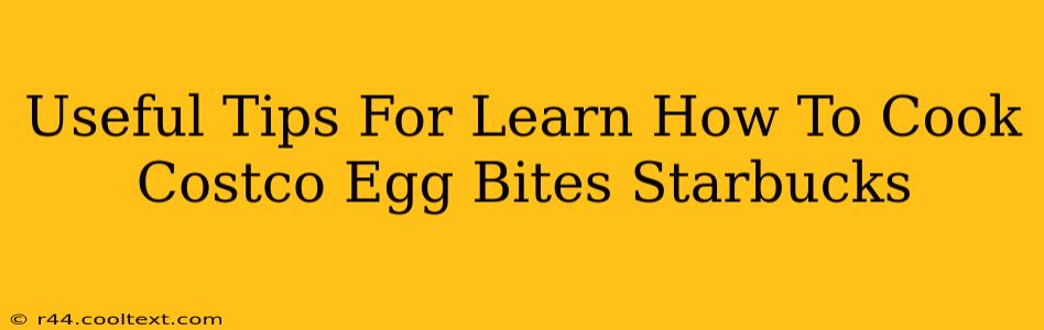 Useful Tips For Learn How To Cook Costco Egg Bites Starbucks