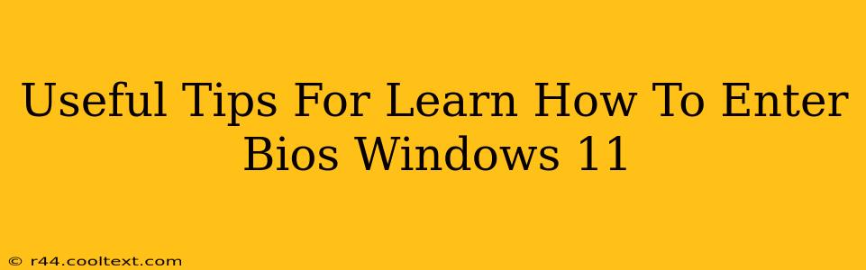 Useful Tips For Learn How To Enter Bios Windows 11