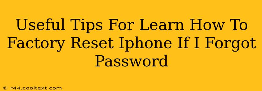 Useful Tips For Learn How To Factory Reset Iphone If I Forgot Password