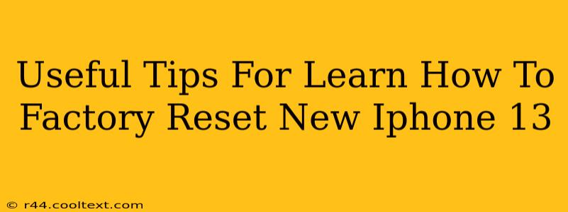 Useful Tips For Learn How To Factory Reset New Iphone 13