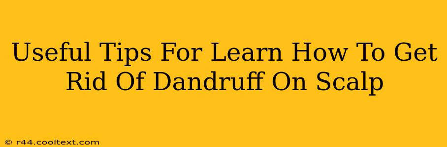 Useful Tips For Learn How To Get Rid Of Dandruff On Scalp