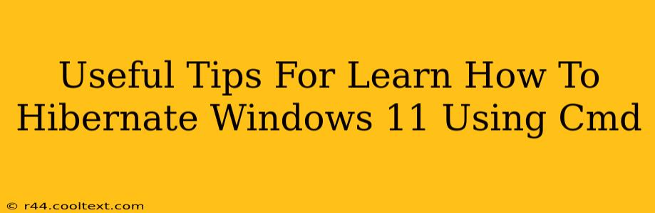 Useful Tips For Learn How To Hibernate Windows 11 Using Cmd