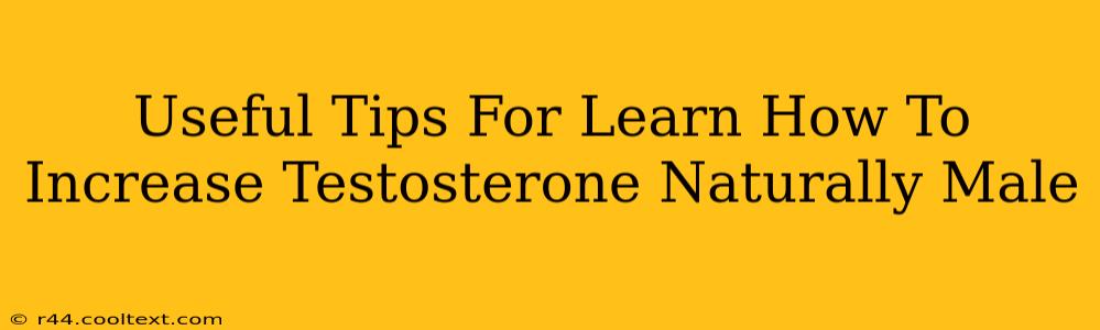 Useful Tips For Learn How To Increase Testosterone Naturally Male