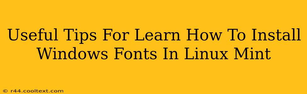 Useful Tips For Learn How To Install Windows Fonts In Linux Mint