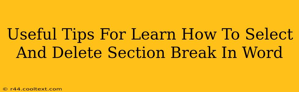 Useful Tips For Learn How To Select And Delete Section Break In Word