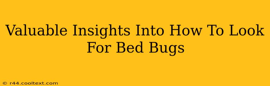 Valuable Insights Into How To Look For Bed Bugs