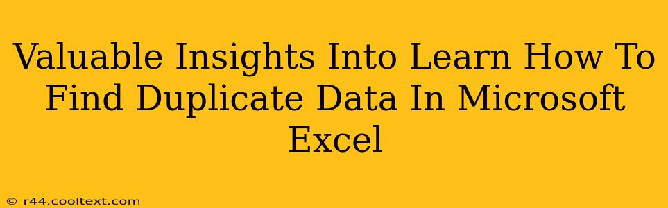 Valuable Insights Into Learn How To Find Duplicate Data In Microsoft Excel