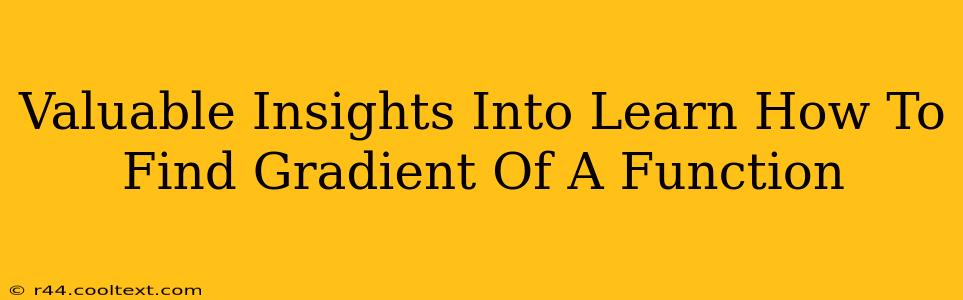 Valuable Insights Into Learn How To Find Gradient Of A Function