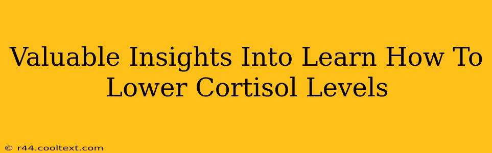 Valuable Insights Into Learn How To Lower Cortisol Levels