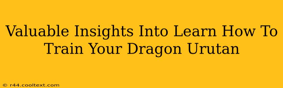 Valuable Insights Into Learn How To Train Your Dragon Urutan