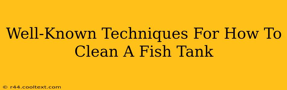 Well-Known Techniques For How To Clean A Fish Tank